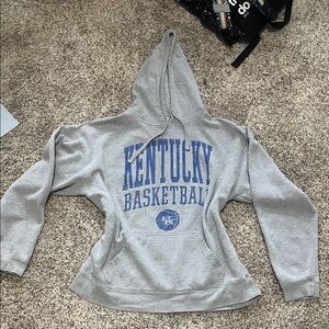 J. America Gray Sportswear Hoodie
